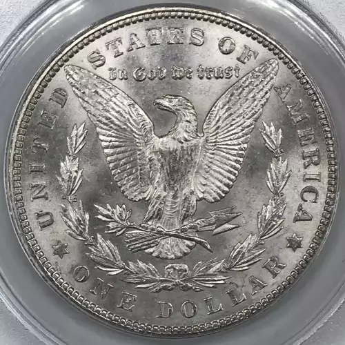 Morgan Silver Dollar (4)