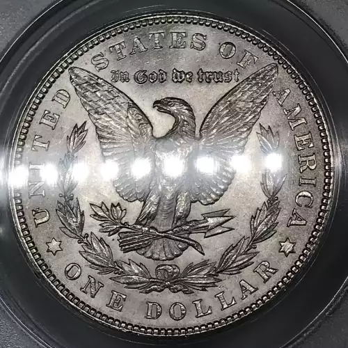 Morgan Silver Dollar