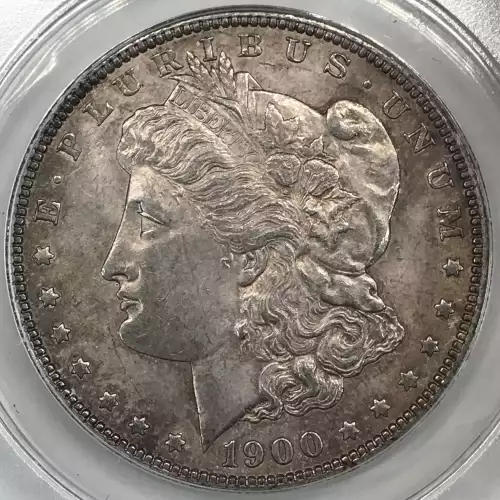 Morgan Silver Dollar (4)