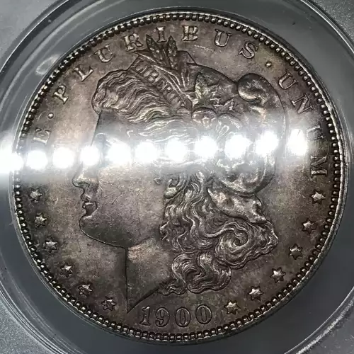 Morgan Silver Dollar (5)