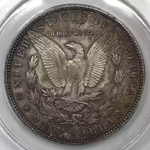 Morgan Silver Dollar (2)