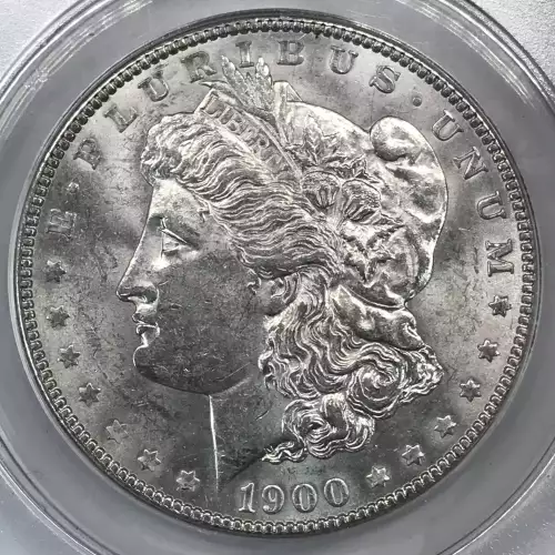 Morgan Silver Dollar (4)