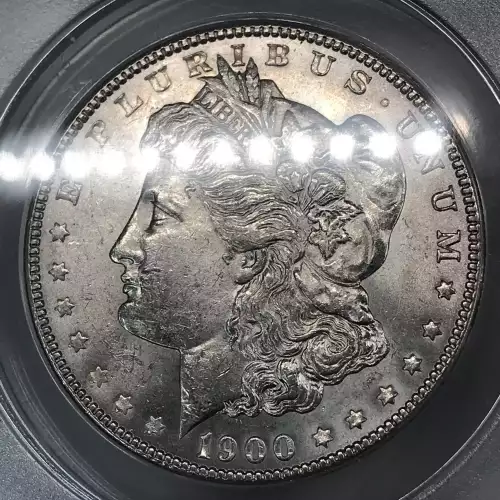 Morgan Silver Dollar (5)