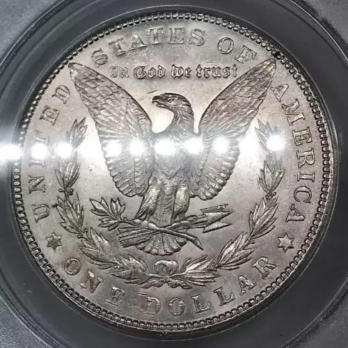 Morgan Silver Dollar (2)