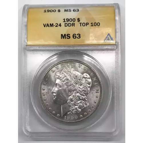 Morgan Silver Dollar (2)