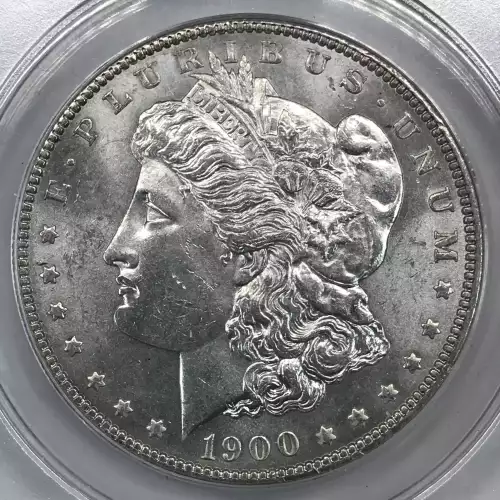 Morgan Silver Dollar (5)