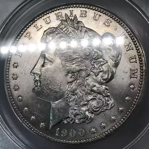 Morgan Silver Dollar (4)