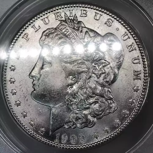 Morgan Silver Dollar (5)