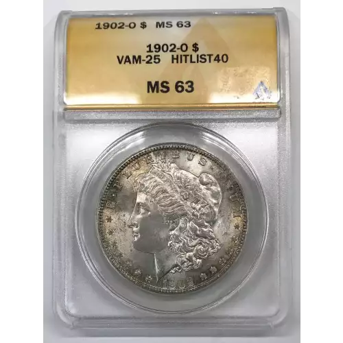 Morgan Silver Dollar (2)