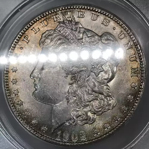 Morgan Silver Dollar (5)