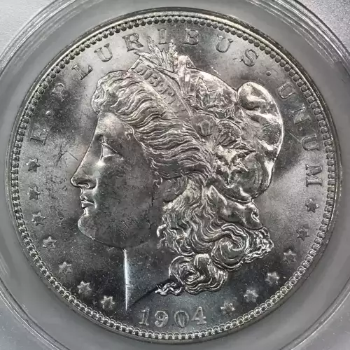 Morgan Silver Dollar (4)