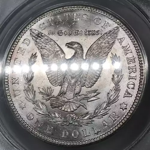 Morgan Silver Dollar (2)