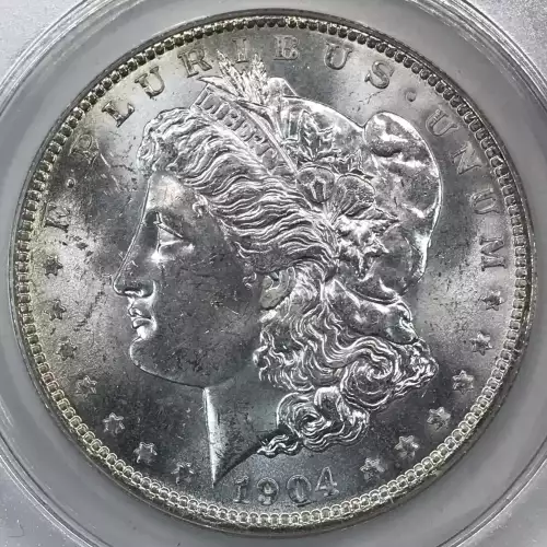 Morgan Silver Dollar (4)