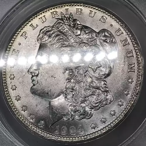 Morgan Silver Dollar (5)