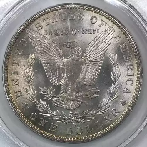 Morgan Silver Dollar (2)