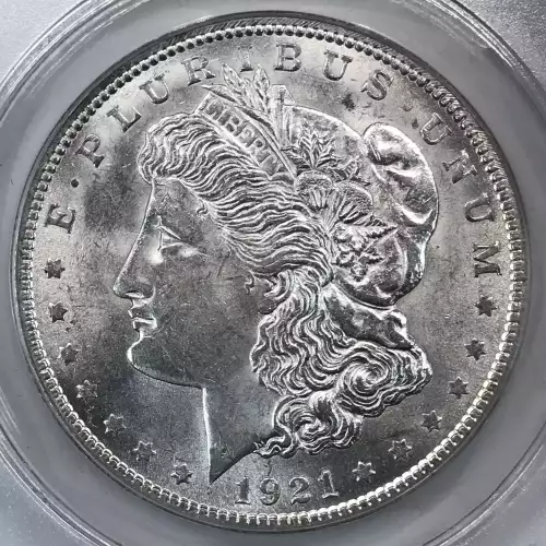 Morgan Silver Dollar (5)