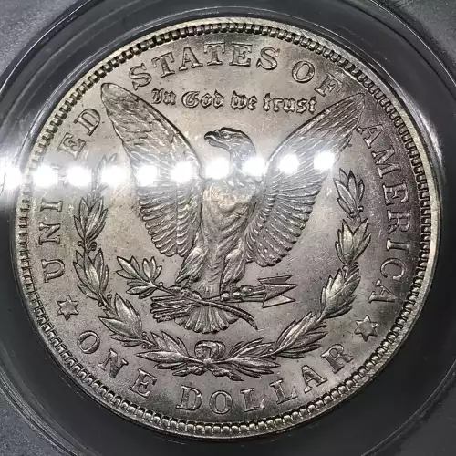 Morgan Silver Dollar (2)