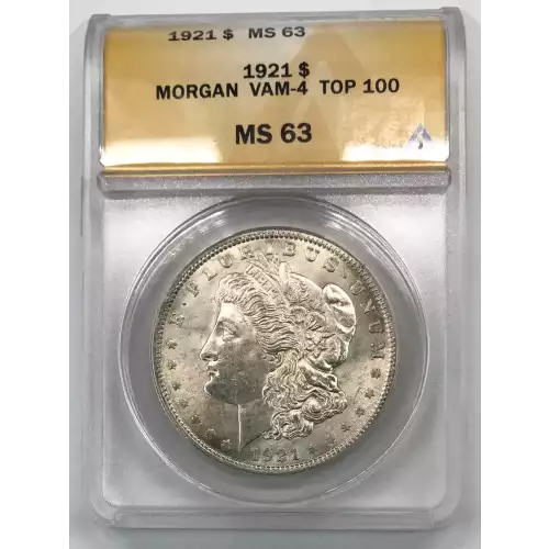 Morgan Silver Dollar (2)