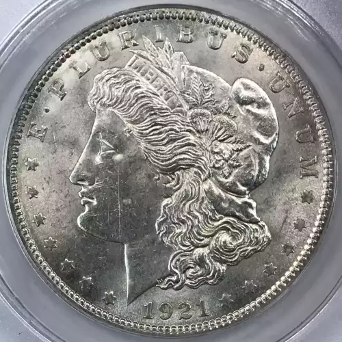 Morgan Silver Dollar (4)