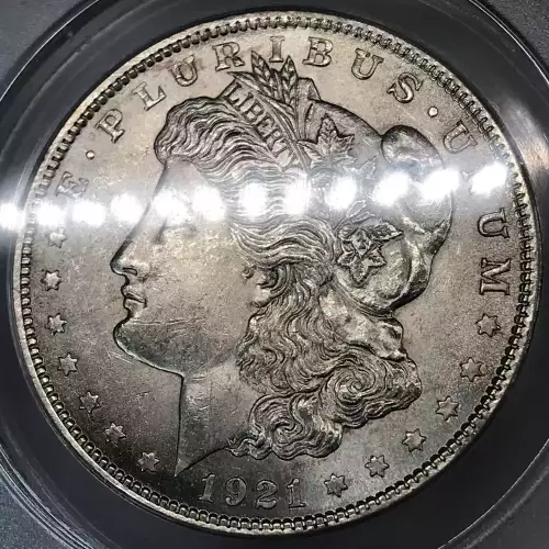 Morgan Silver Dollar (5)