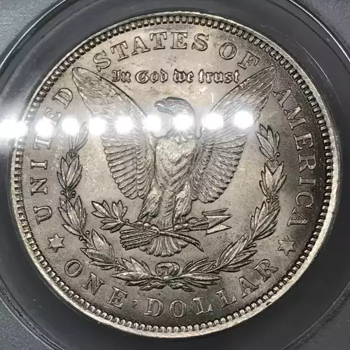 Morgan Silver Dollar