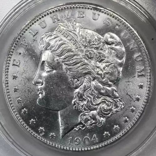 Morgan Silver Dollar (2)