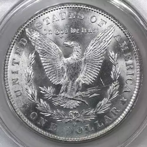 Morgan Silver Dollar (4)