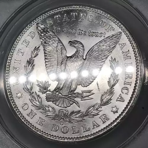 Morgan Silver Dollar (5)