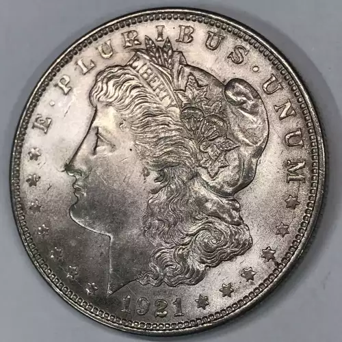 Morgan Silver Dollar (2)