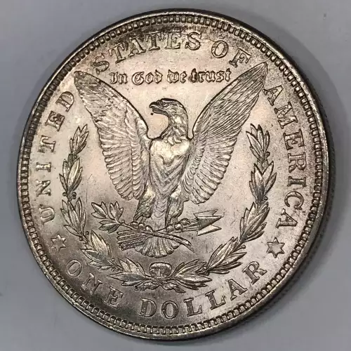 Morgan Silver Dollar (4)