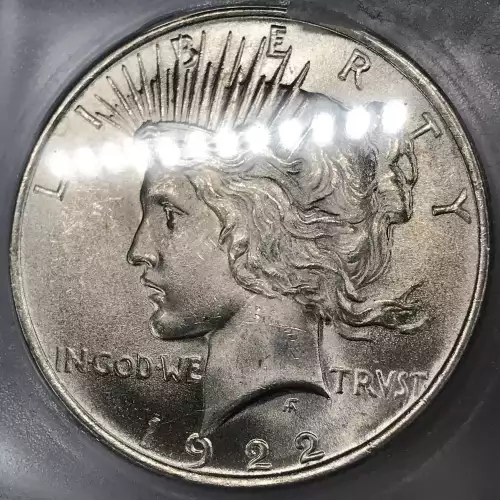 Morgan Silver Dollar (5)