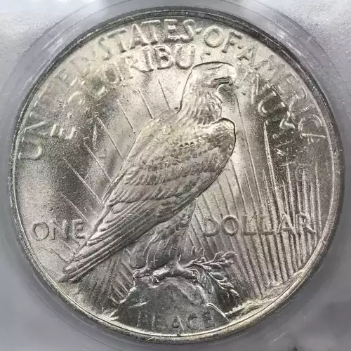 Morgan Silver Dollar (4)