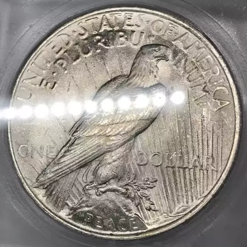 Morgan Silver Dollar