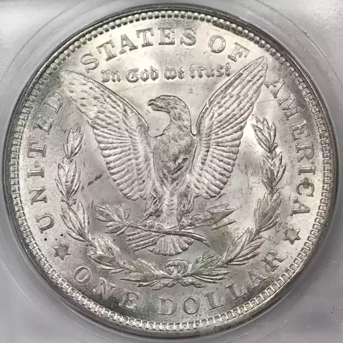 Morgan Silver Dollar (4)