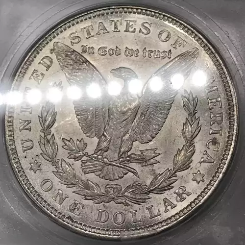 Morgan Silver Dollar (5)