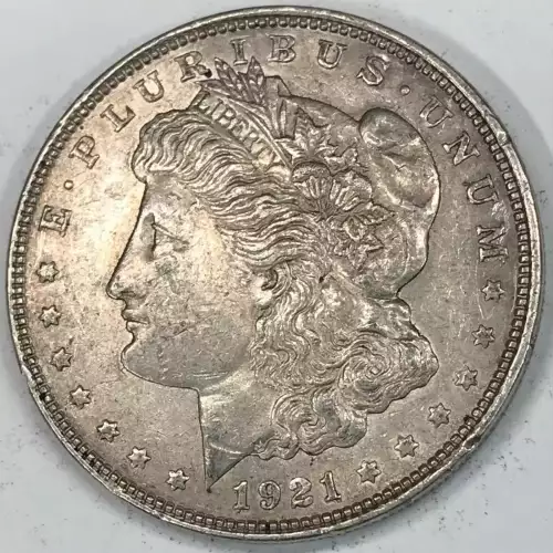 Morgan Silver Dollar