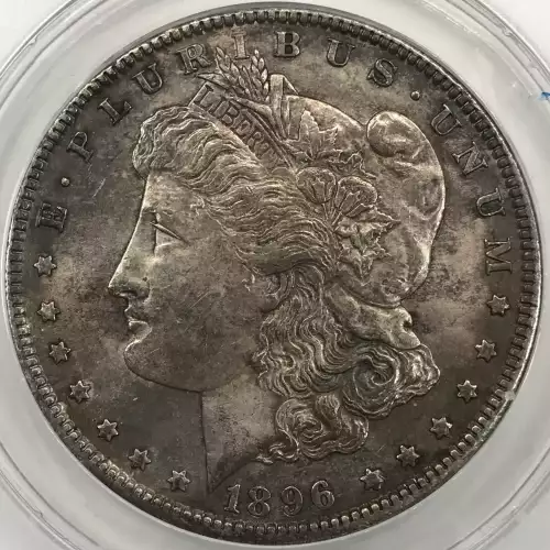 Morgan Silver Dollar (2)