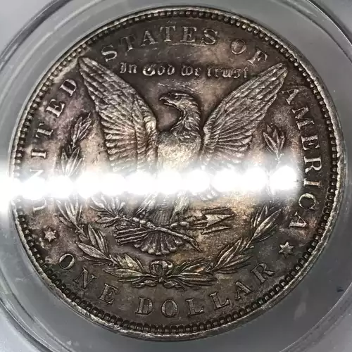 Morgan Silver Dollar (5)