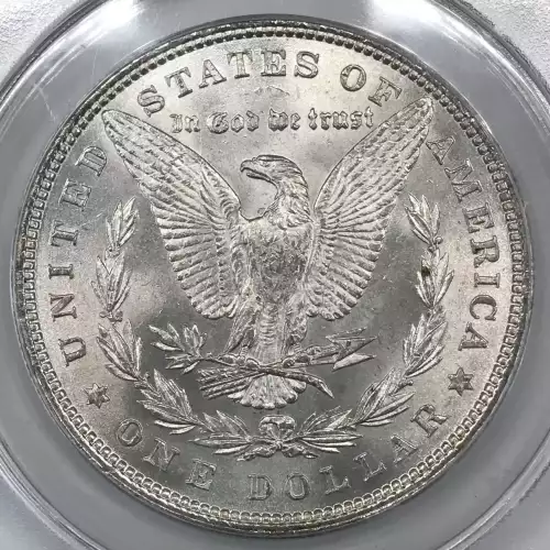 Morgan Silver Dollar (2)