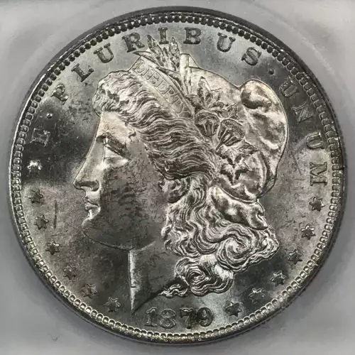 Morgan Silver Dollar (2)