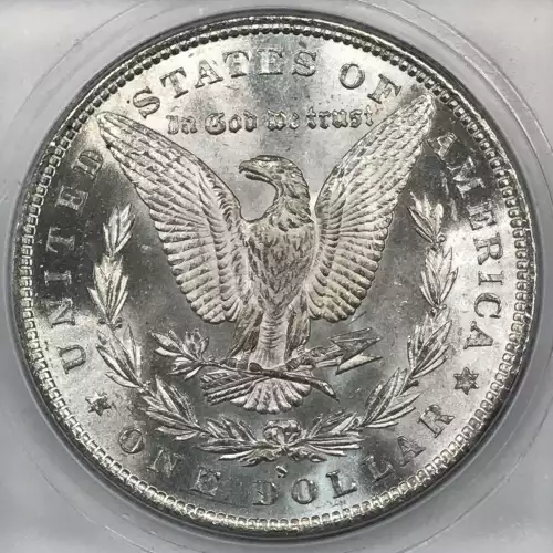 Morgan Silver Dollar (4)