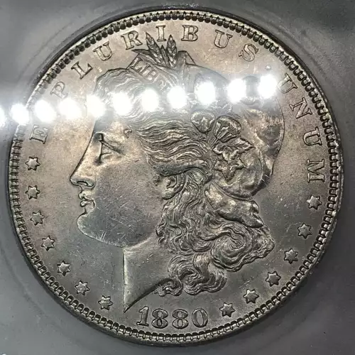 Morgan Silver Dollar (2)