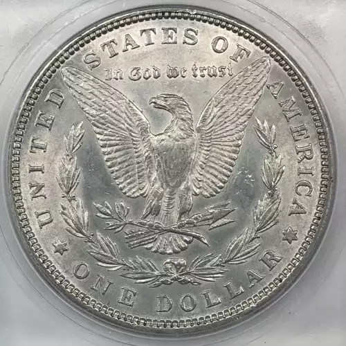 Morgan Silver Dollar (4)