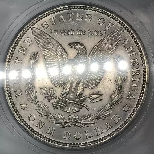 Morgan Silver Dollar (5)