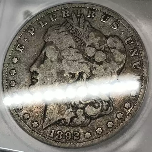 Morgan Silver Dollar (5)