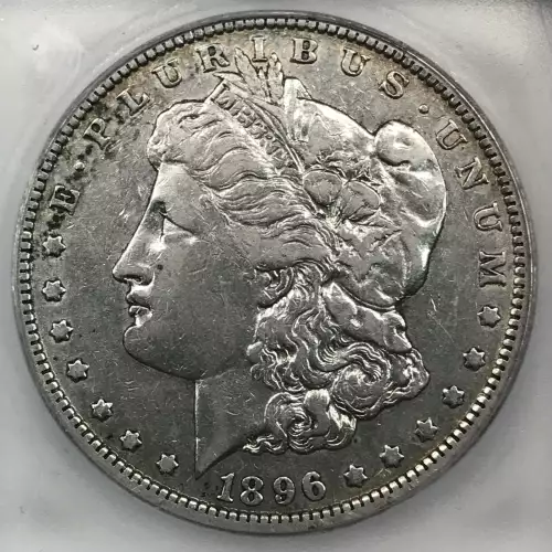 Morgan Silver Dollar (2)