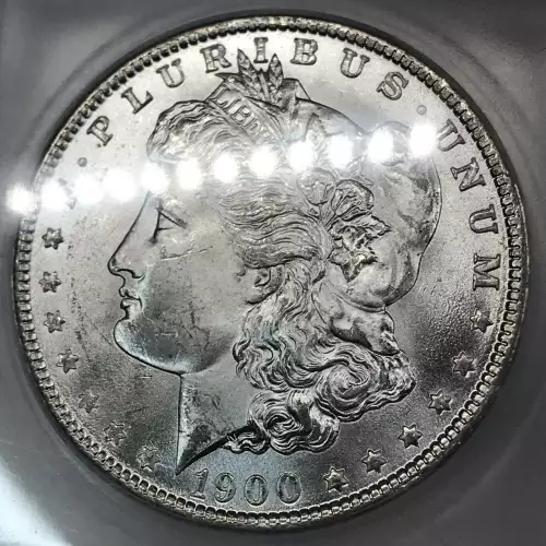 Morgan Silver Dollar (5)