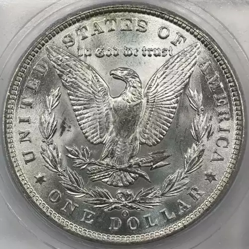 Morgan Silver Dollar (4)