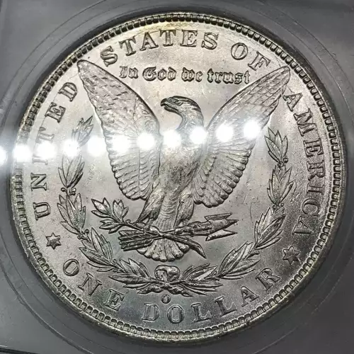 Morgan Silver Dollar (2)