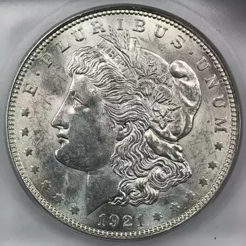 Morgan Silver Dollar (2)